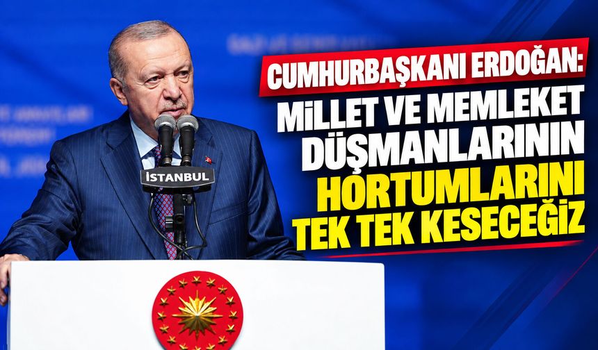 Cumhurbaşkanı Erdoğan: Millet ve memleket düşmanlarının hortumlarını tek tek keseceğiz