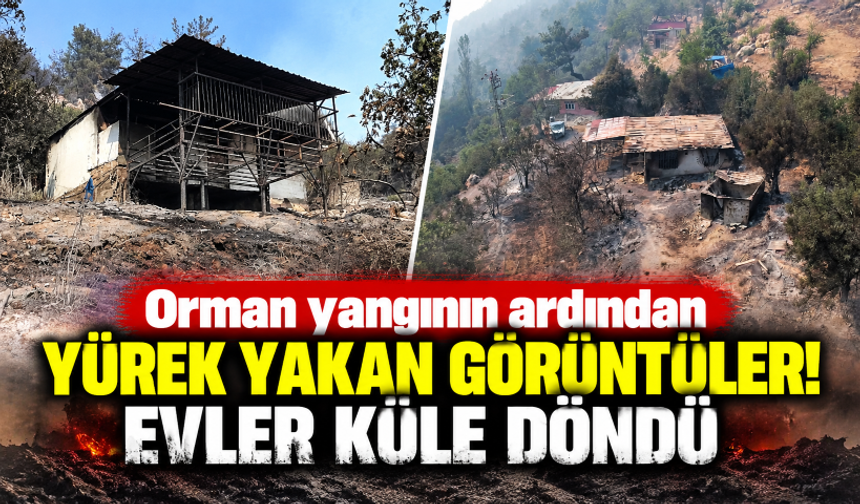 Orman yangının ardından yürek yakan görüntüler: Evler küle döndü