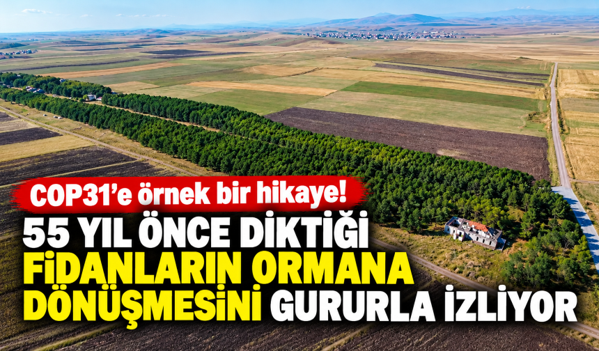 COP31'e örnek bir hikaye! 55 yıl önce diktiği fidanların ormana dönüşmesini gururla izliyor
