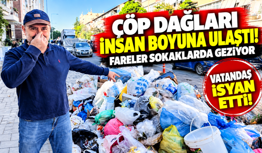 Karşıyaka’da çöp dağları insan boyuna ulaştı! Fareler sokaklarda dolaşıyor