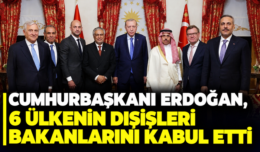 Cumhurbaşkanı Erdoğan, 6 ülkenin dışişleri bakanlarını kabul etti