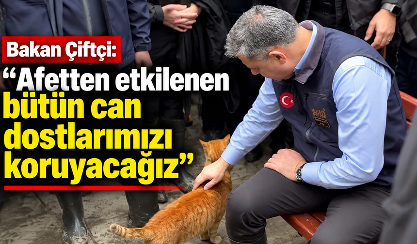 Bakan Çiftçi: "Afetten etkilenen bütün can dostlarımızı koruyacağız"