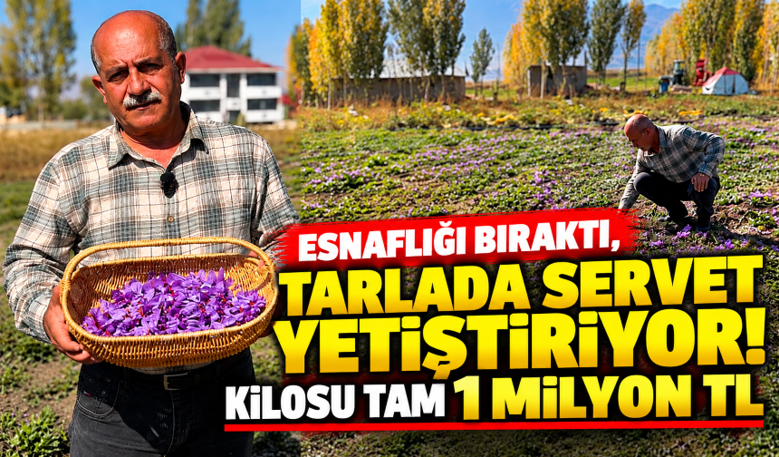 Esnaflığı bıraktı, tarlada servet yetiştiriyor! Kilosu tam 1 milyon TL