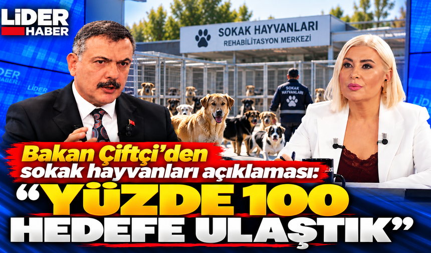 Bakan Çiftçi’den sokak hayvanları açıklaması: “Yüzde 100 hedefe ulaştık”