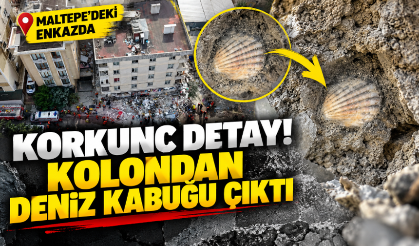 Maltepe’deki enkazda korkunç detay! Kolondan deniz kabuğu çıktı