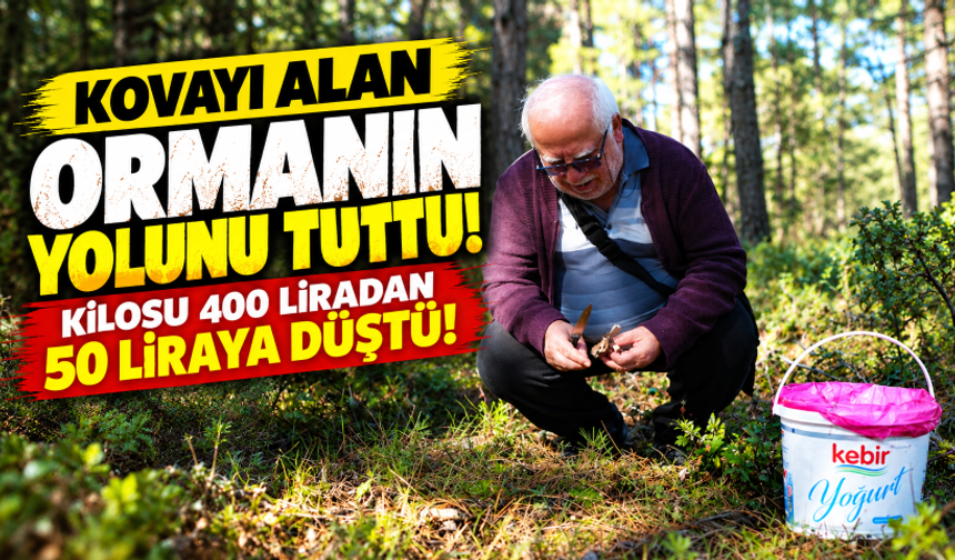 Kovayı alan ormanın yolunu tuttu! Kilosu 400 liradan 50 liraya düştü