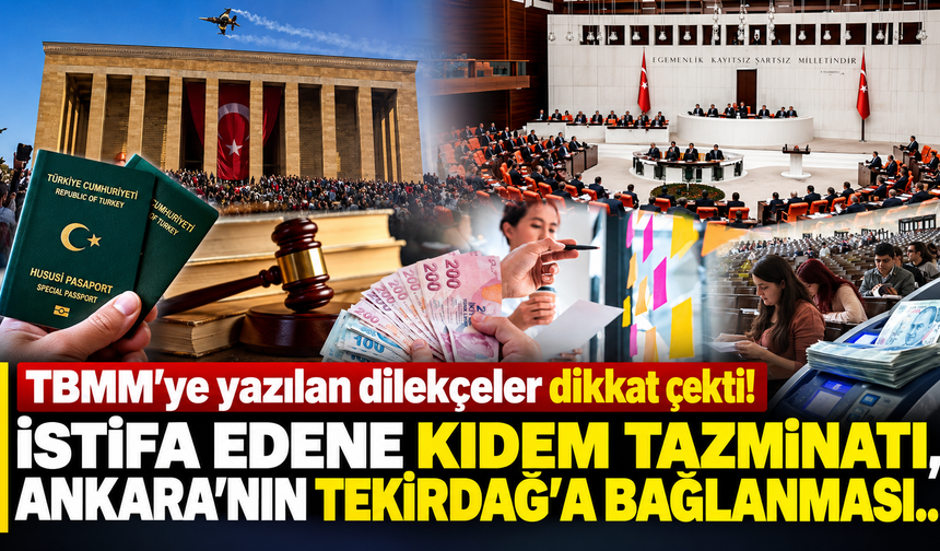 TBMM'ye yazılan dilekçeler dikkat çekti! İstifa edene kıdem tazminatı, Ankara'nın Tekirdağ'a bağlanması...