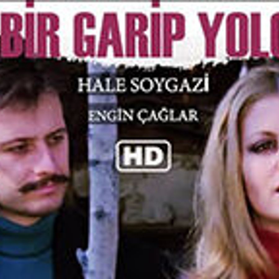 BİR GARİP YOLCU