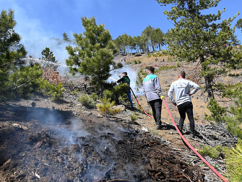 Konya’da ormanlık alanda çıkan yangın kontrol altına alındı