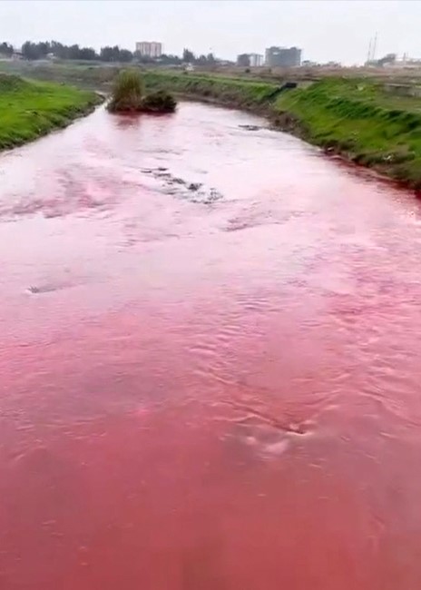 Kırmızı Akan Berdan Nehri Normale Döndü1