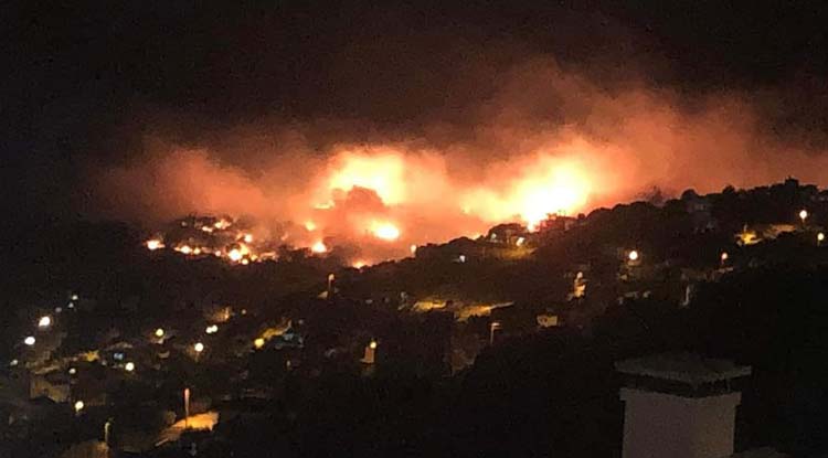 İzmir Deki Orman Yangını Kontrol Altında