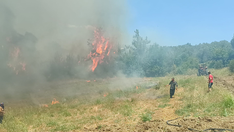 Adana'da Orman Yangını Çıktı1