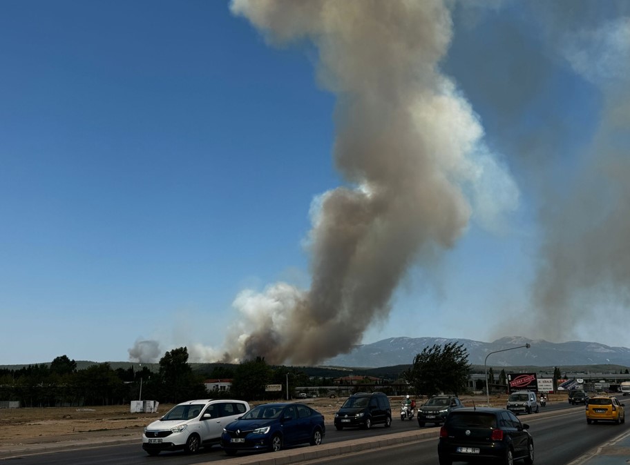 İzmir Gaziemir'de Orman Yangını