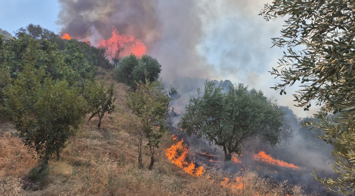 Manisa Turgutlu’da Yangın Ormana Sıçradı2