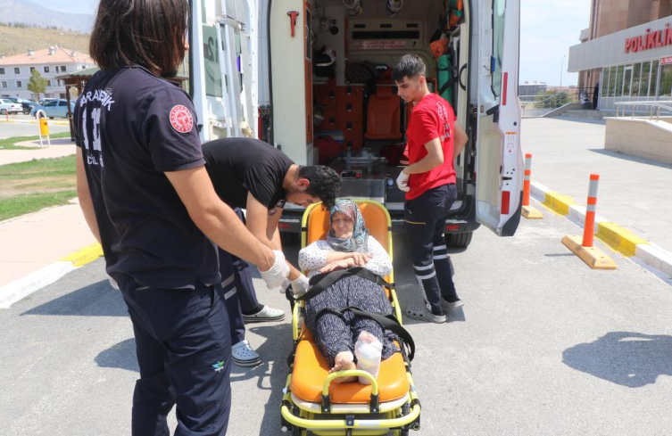 Başıboş Köpeklerin Saldırdığı Kadın Ayşe Karakaya1