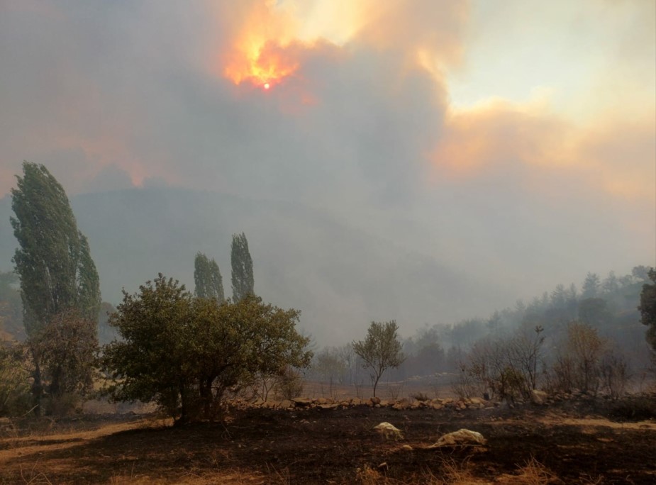 Manisa'daormanyangını