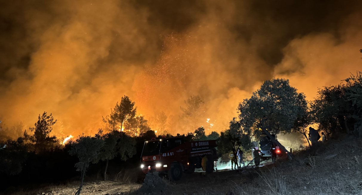 Muğla Milas Ormanyangını