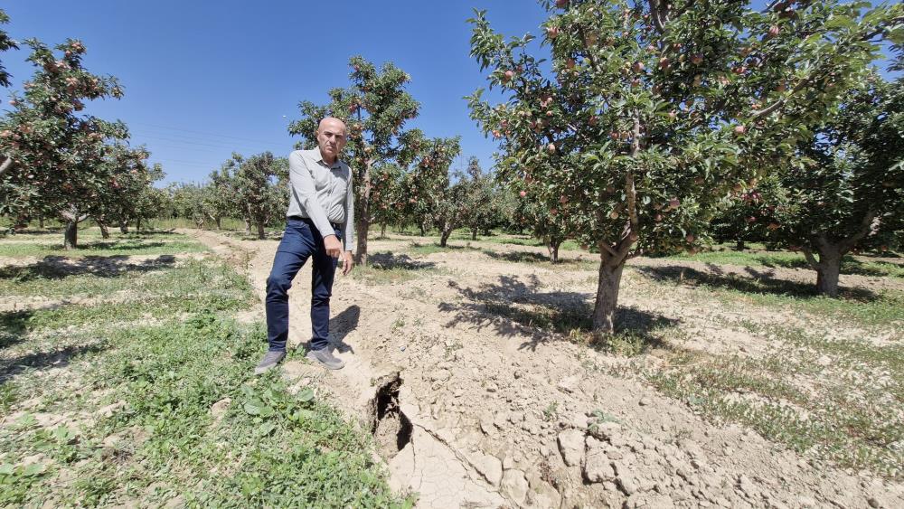 Elma Bahçesinde Oluşan 100 Metrelik Yarık Korkuttu3