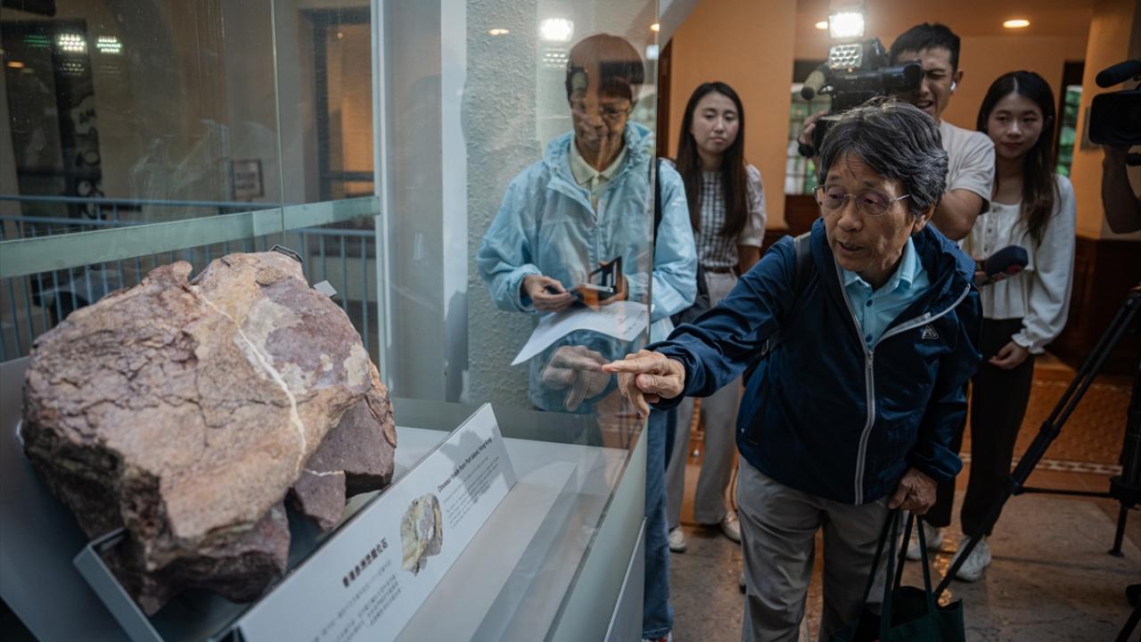 Hong Kong'da Ilk Kez Dinozor Fosili Keşfedildi2