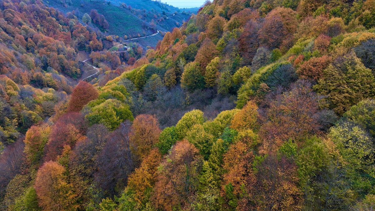 Aktaş Şelalesi Aa1