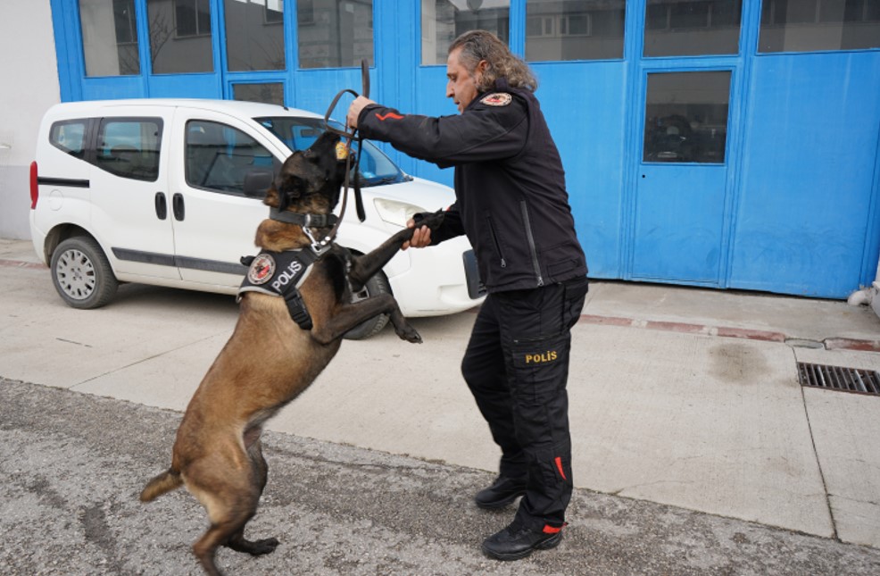 Narkotik Ekiplerinin En Büyük Yardımcısı ‘Milon’ Seçildi3