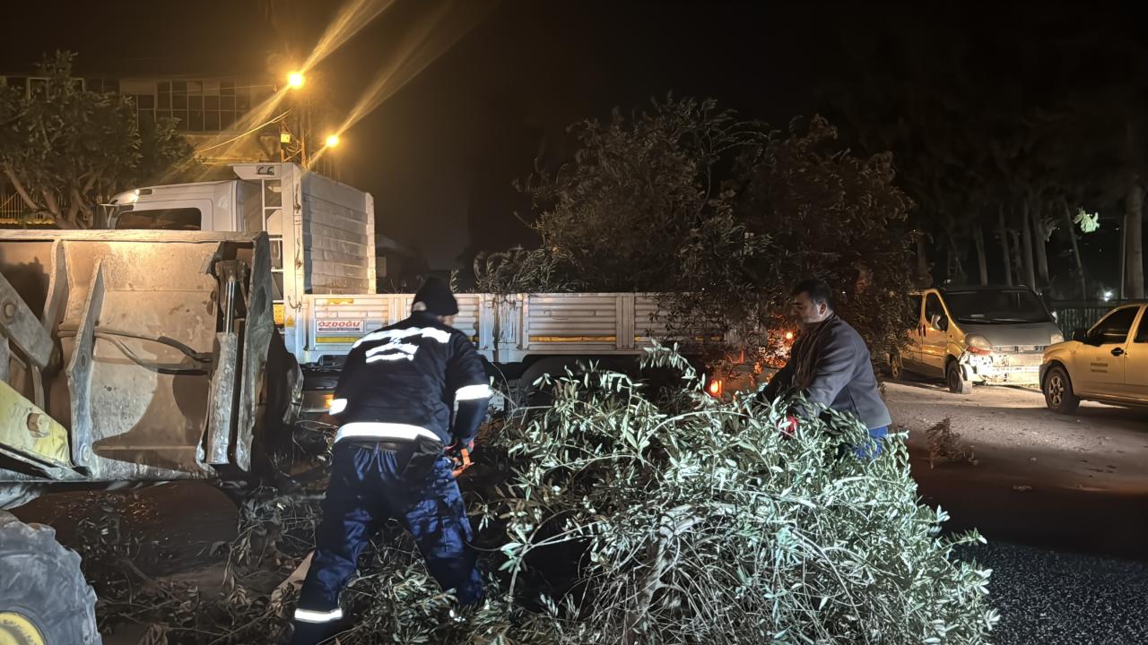 Hatay'da Fırtına Tekneler Alabora Oldu, Ağaçlar Devrildi4