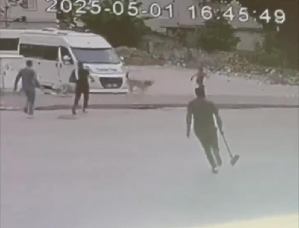 Adana’da sokak köpekleri çocuğa saldırdı Adana’da sokak köpekleri çocuğa saldırdı