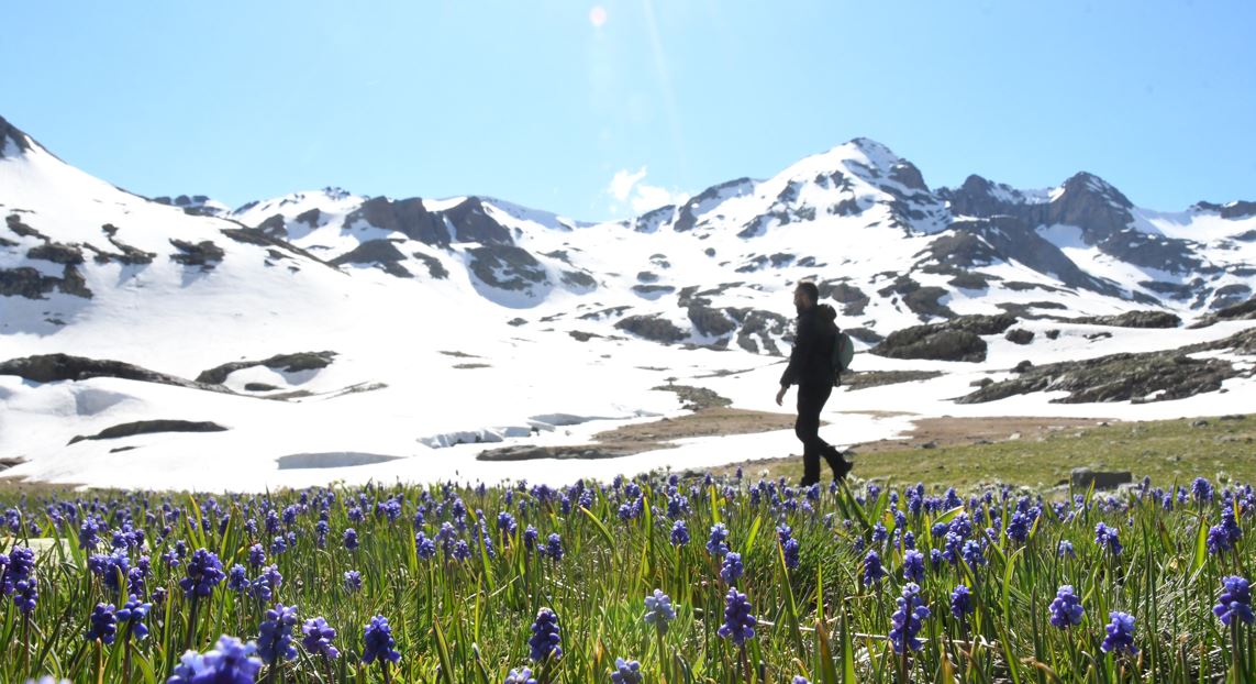Artabel Gölleri Tabiat Parkı Doğa Tutkunlarını Ağırlamaya Başladı