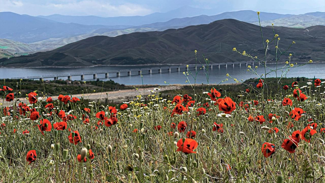 Karakaya Baraj Gölü’nün Büyülü Atmosferi 1