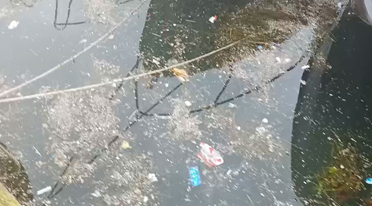 Marmara Denizi’nde Kirliliğe Neden Olan Çınarcık Belediyesine 1,3 Milyon Lira Ceza 1