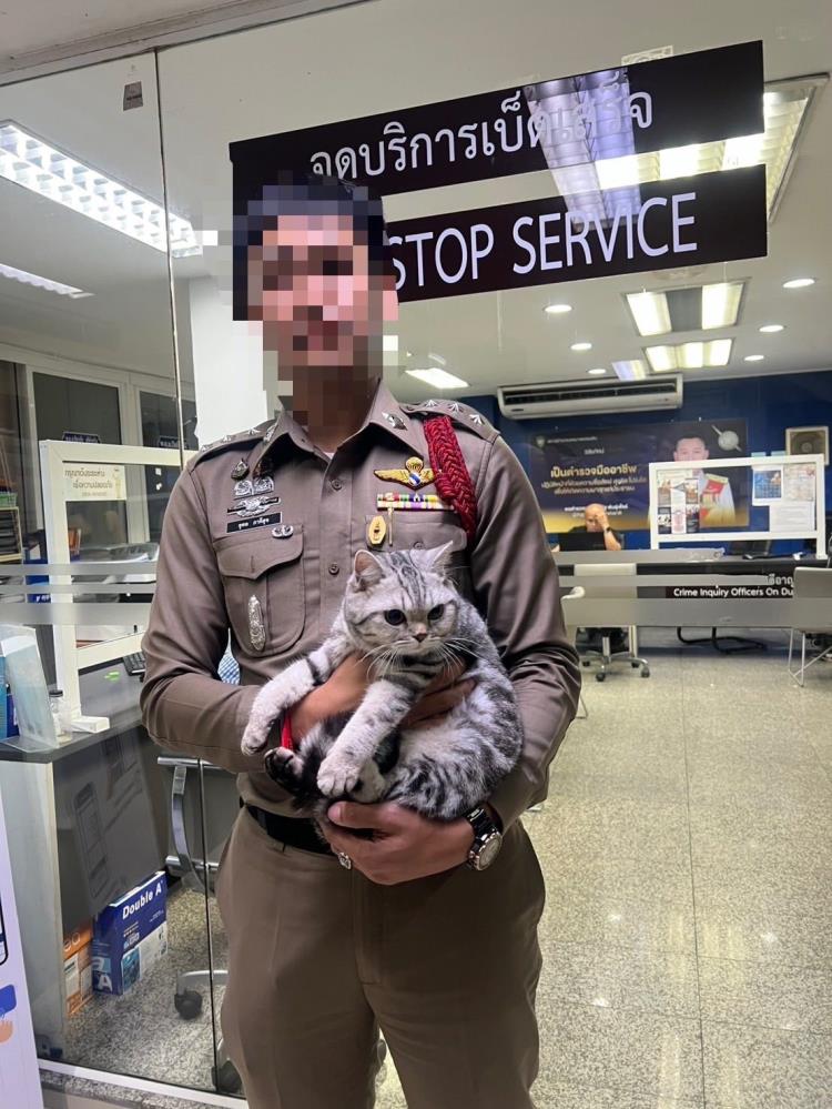 Sokaktan Karakola Düştü Polisleri Isıran Kedi Gözaltına Alındı6