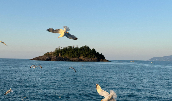 Doğu Kardeniz