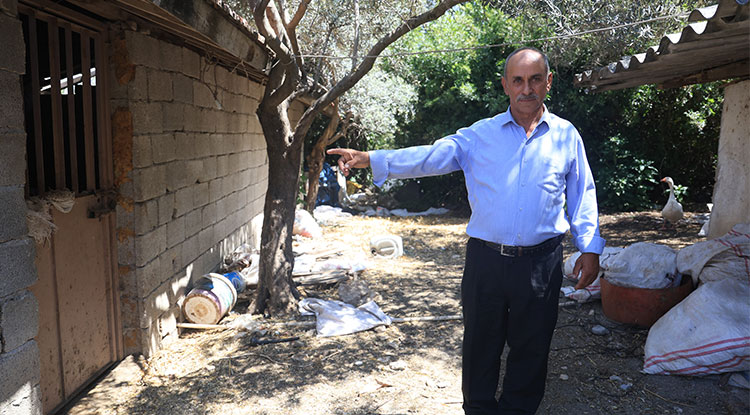 Hatay’da Bir Boğa Trafiği Birbirine Kattı 1