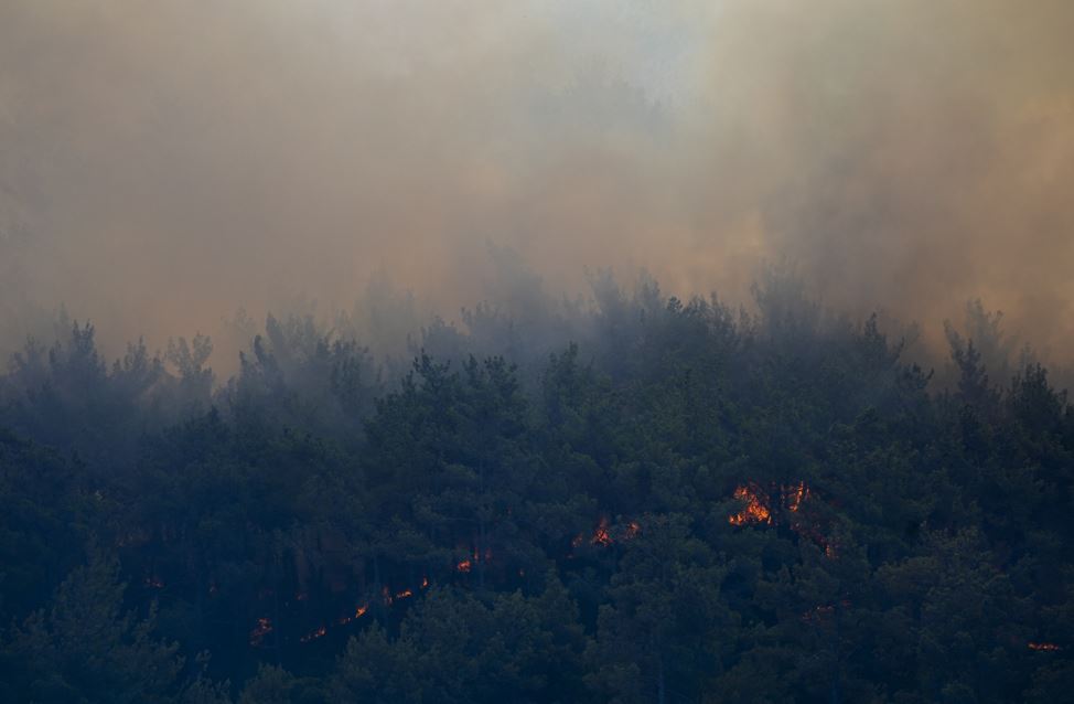 İzmir'de Iki Ayrı Orman Yangını3