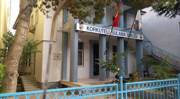 Korkuteli’nde Tarım Felaketi (2)