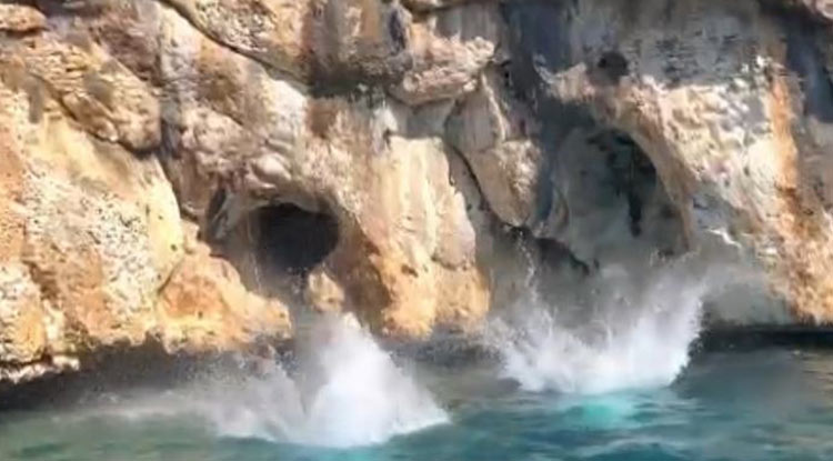 Mersin De Tatilcilere Akdeniz Foku Sürprizi 2