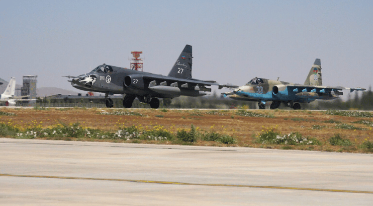 Anadolu Kartalı (2)