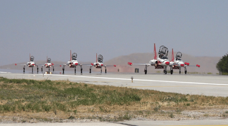 Anadolu Kartalı (4)