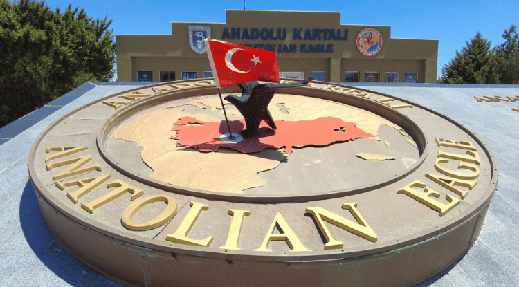 Anadolu Kartalı (5)
