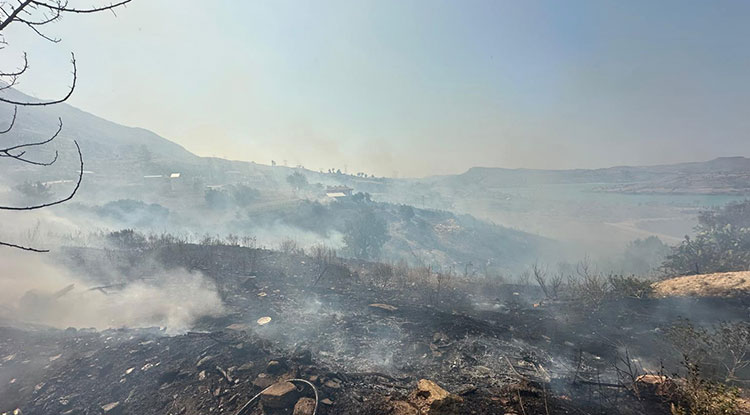 Antalya'da Ormanlık Alanlarda Çıkan Yangınlara Müdahale Ediliyor 1