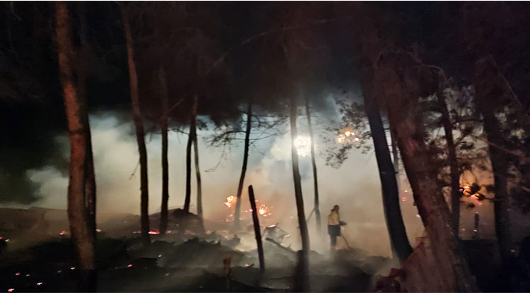 Bilecik’te Ormanlık Alana Sıçrayan Yangın Kontrol Altına Alındı 1