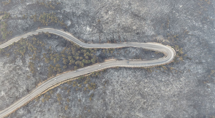 Bursa’daki Orman Yangınının Boyutu Günün Ağarmasıyla Ortaya Çıktı 1