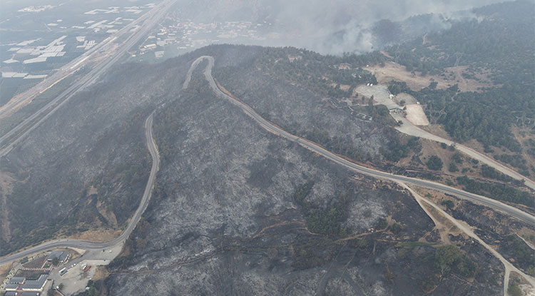 Bursa’daki Orman Yangınının Boyutu Günün Ağarmasıyla Ortaya Çıktı 2
