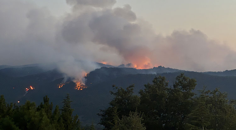 Eskişehir'de Ormanlık Alanda Çıkan Yangına Müdahale Sürüyor 1