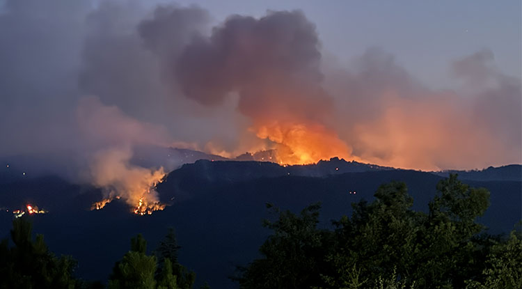 Eskişehir'de Ormanlık Alanda Çıkan Yangına Müdahale Sürüyor