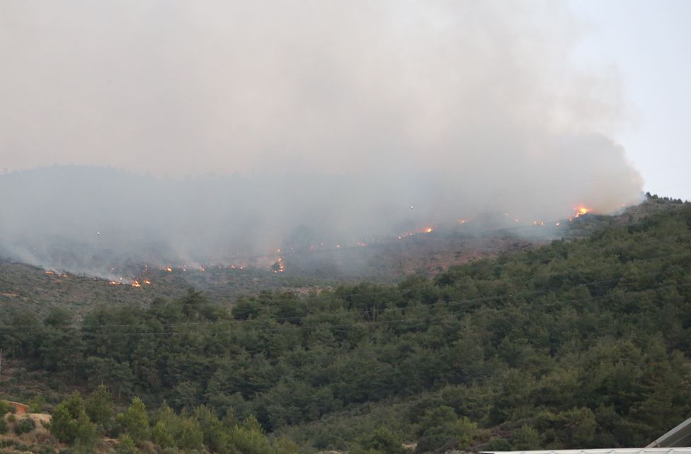 Hatay Antakya Orman Yangını1
