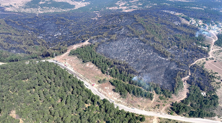 Karabük'teki Orman Yangını Nedeniyle 4 Mahalle Ve 1 Köy Tedbiren Boşaltıldı 1