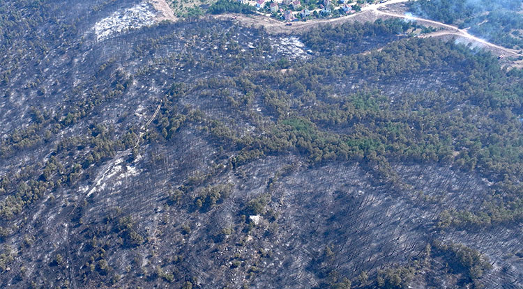 Karabük'teki Orman Yangını Nedeniyle 4 Mahalle Ve 1 Köy Tedbiren Boşaltıldı 2