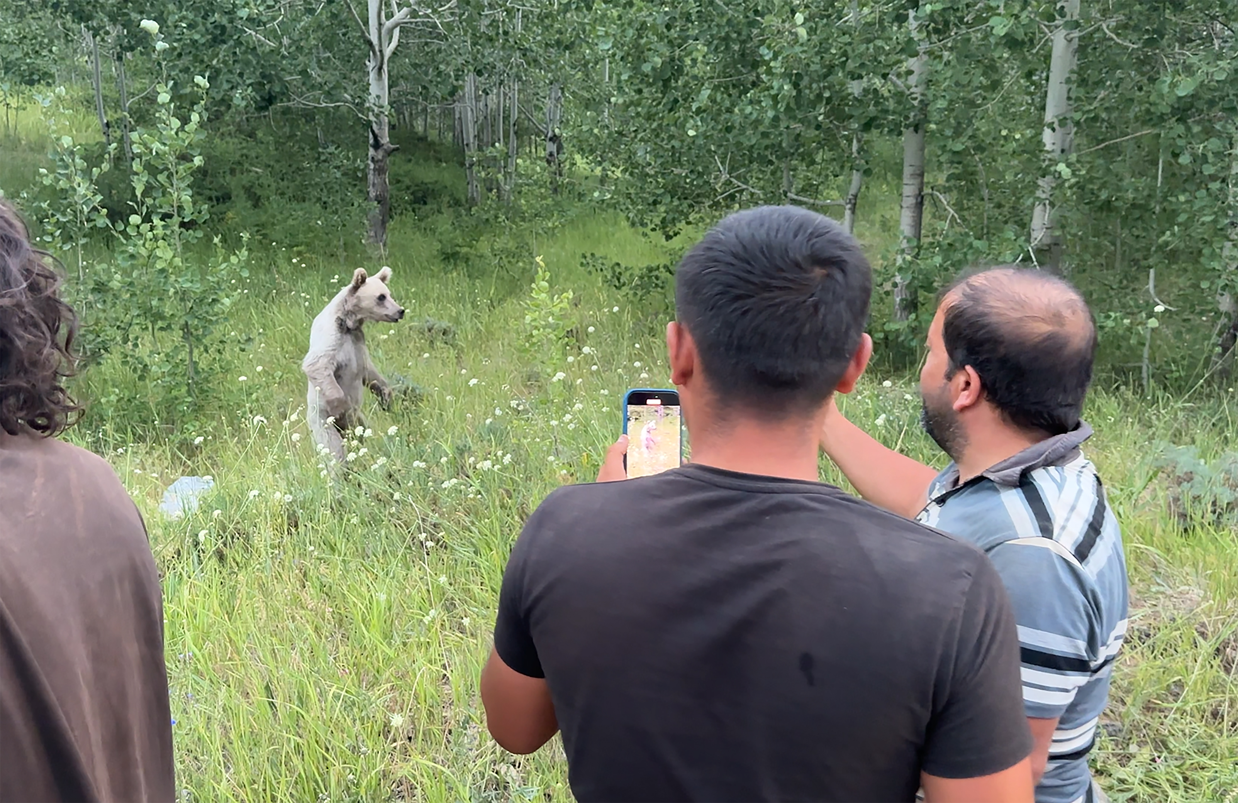 A A 20250805 38749981 38749975 N E M R U T K A L D E R A S I N A G E L E N Z I Y A R E T C I L E R E B O Z A Y I L A R A Y A K L A S M A Y I N U Y A R I S I