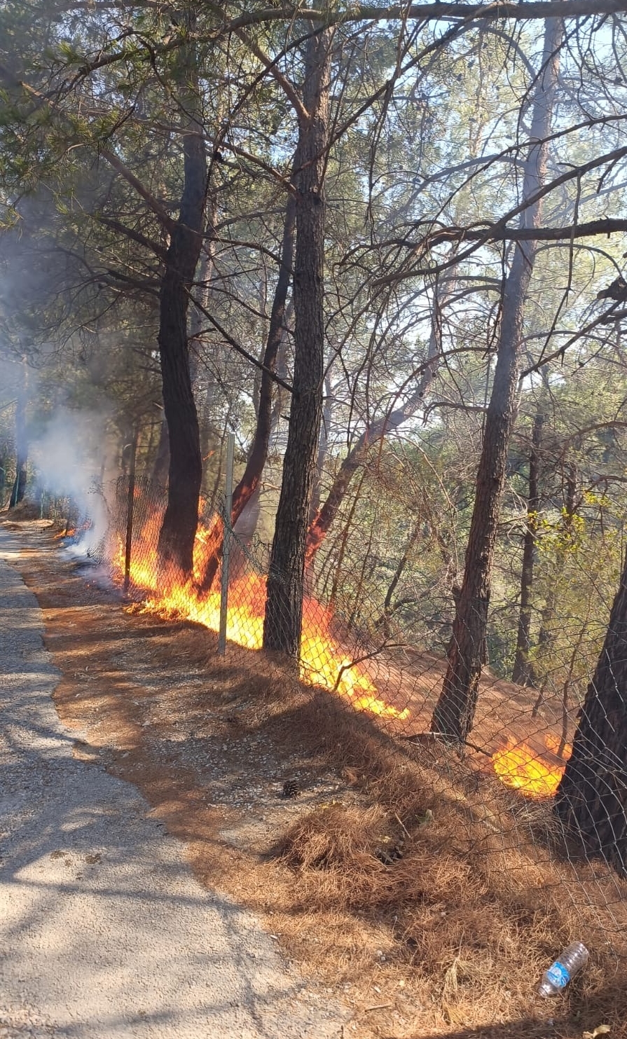 A A 20250815 38840129 38840128 K A Z D A G L A R I M I L L I P A R K I N D A C I K A N O R M A N Y A N G I N I K O N T R O L A L T I N A A L I N D I